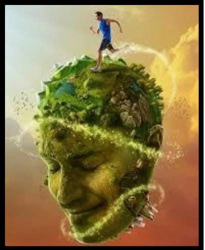 Taking Care of Your Body, Mind, Emotions, and Energy